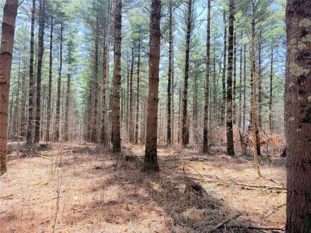Rice Lake Land Real Estate
