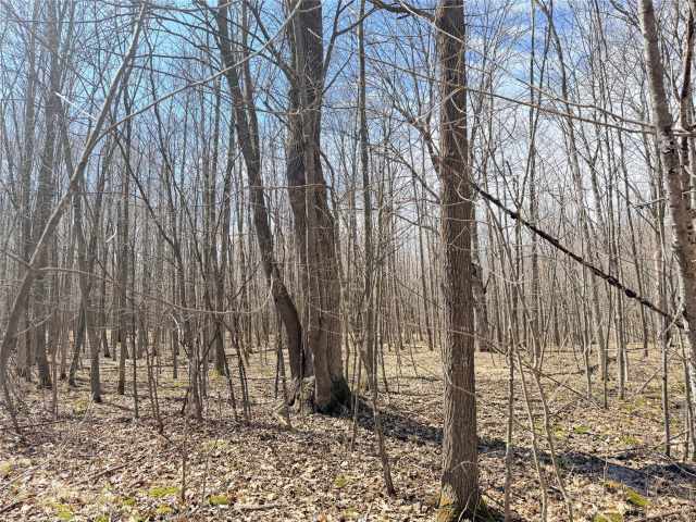 Rice Lake Land Real Estate
