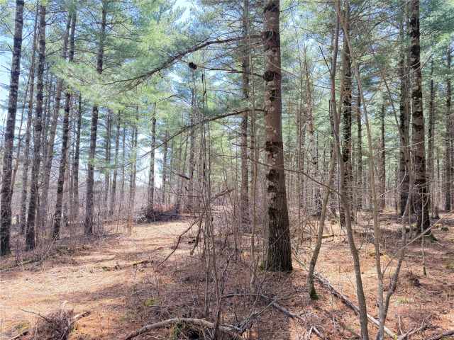 Rice Lake Land Real Estate