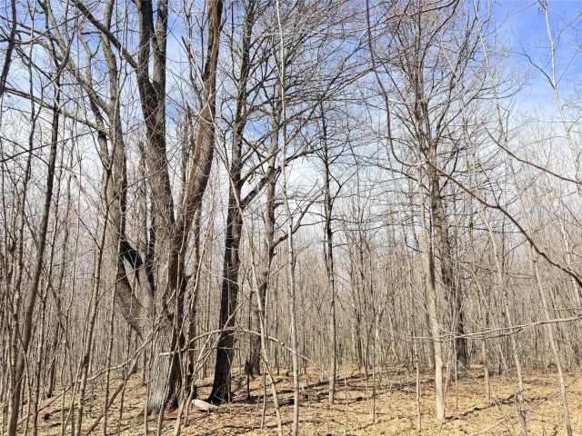 Rice Lake Land Real Estate