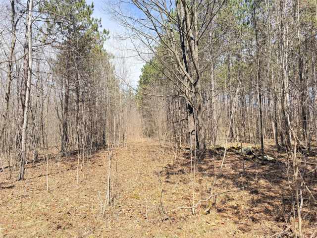 Rice Lake Land Real Estate