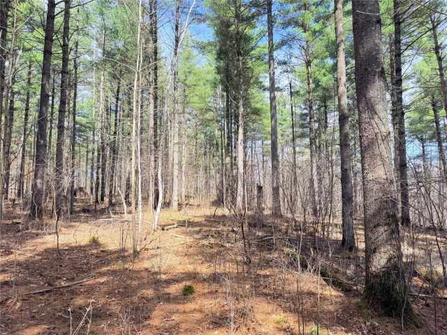 Rice Lake Land Real Estate