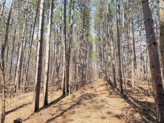 Rice Lake Land Real Estate