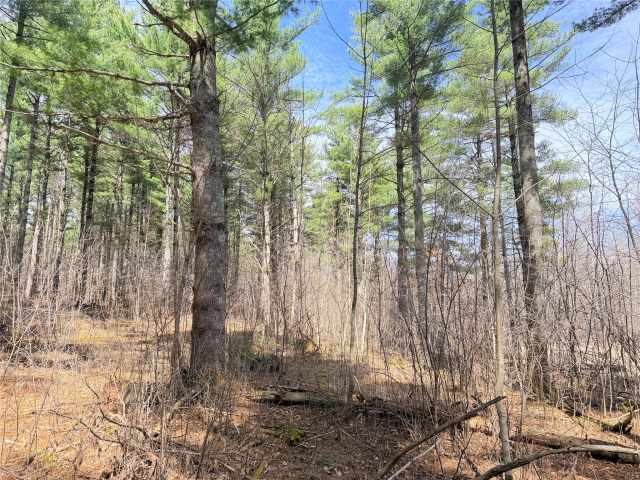 Rice Lake Land Real Estate