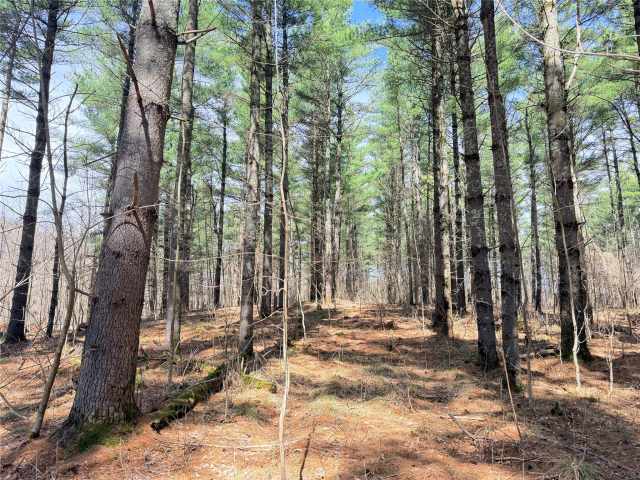 Rice Lake Land Real Estate