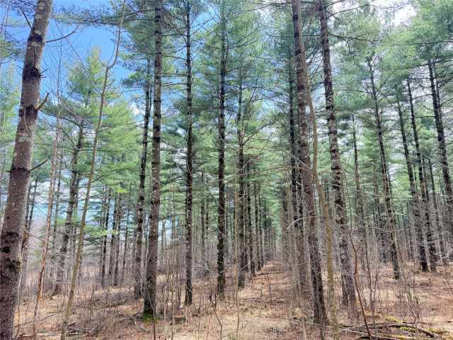 Rice Lake Land Real Estate