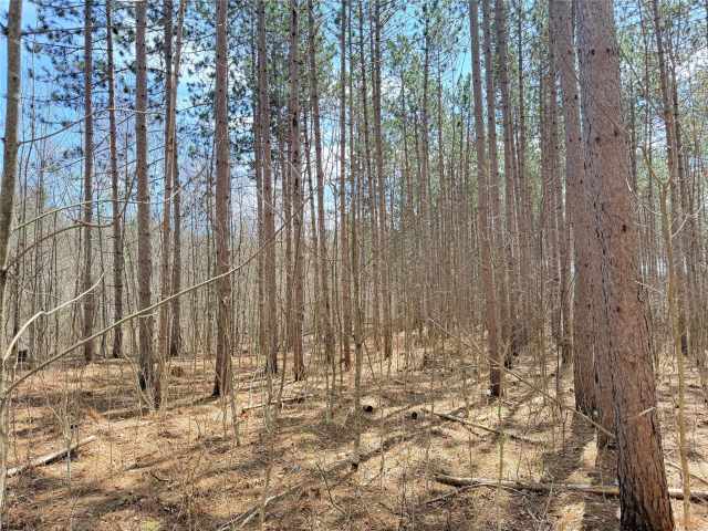 Rice Lake Land Real Estate