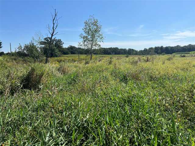 Hixton Farm Real Estate