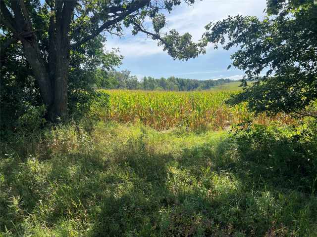 Hixton Farm Real Estate