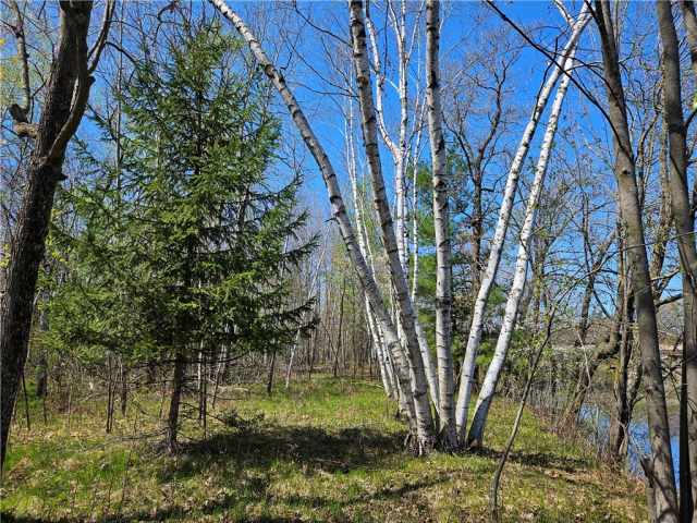 Rice Lake Land Real Estate