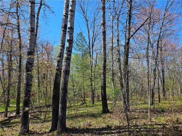 Rice Lake Land Real Estate