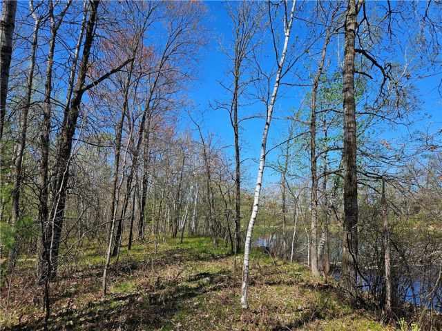 Rice Lake Land Real Estate