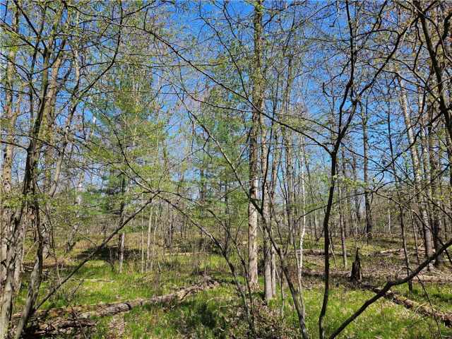 Rice Lake Land Real Estate