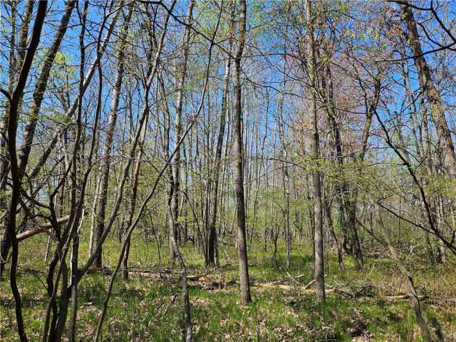 Rice Lake Land Real Estate