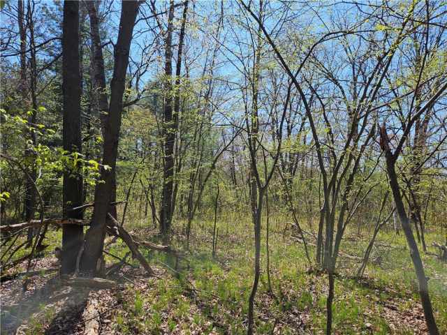 Rice Lake Land Real Estate