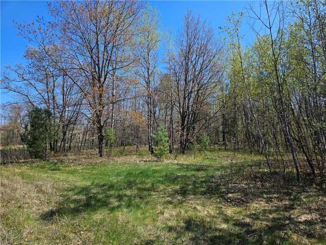 Rice Lake Land Real Estate