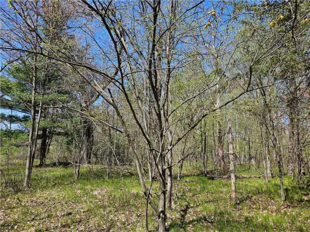 Rice Lake Land Real Estate