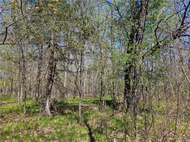 Rice Lake Land Real Estate