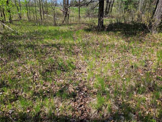 Rice Lake Land Real Estate