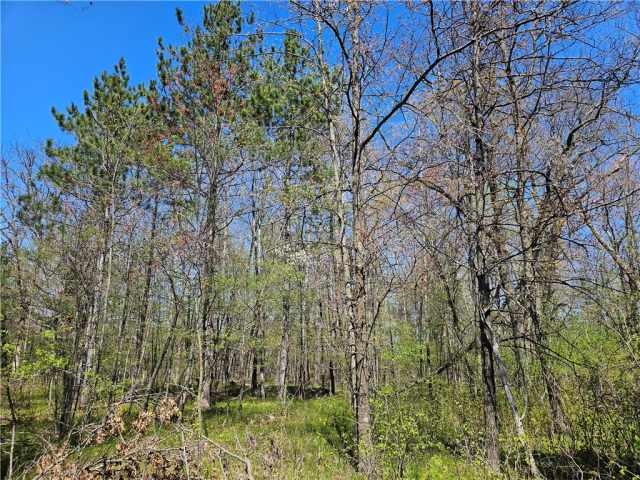 Rice Lake Land Real Estate