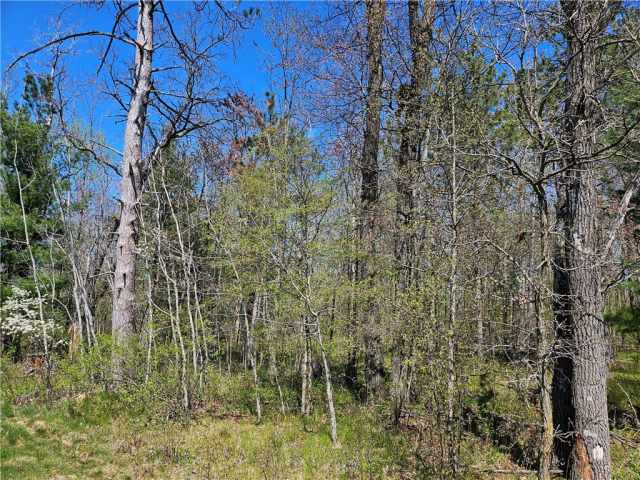 Rice Lake Land Real Estate