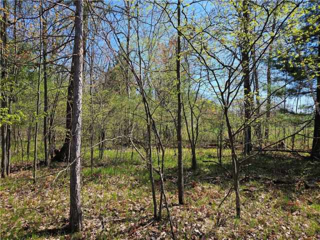 Rice Lake Land Real Estate