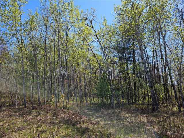 Rice Lake Land Real Estate