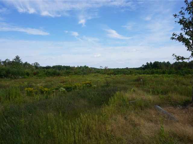 Granton Land Real Estate