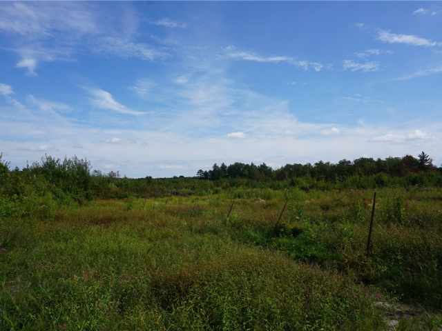 Granton Land Real Estate