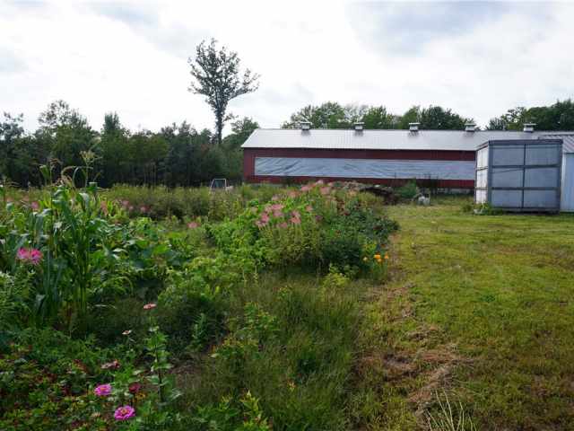 Granton Land Real Estate