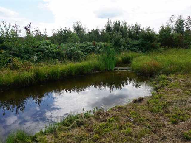 Granton Land Real Estate
