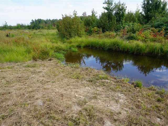 Granton Land Real Estate