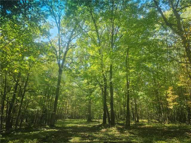 Danbury Land Real Estate
