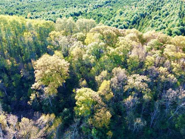 Eau Claire Land Real Estate