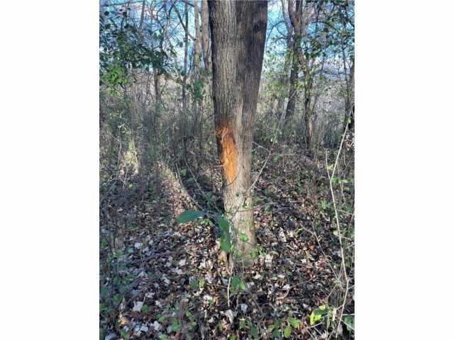 Eau Claire Land Real Estate