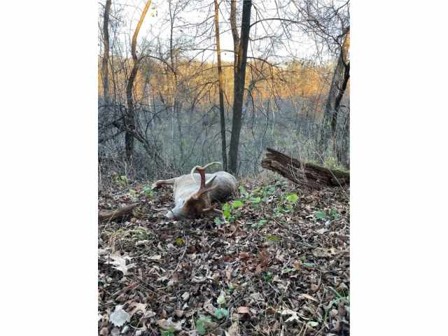 Eau Claire Land Real Estate