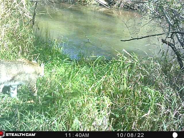 Eau Claire Land Real Estate