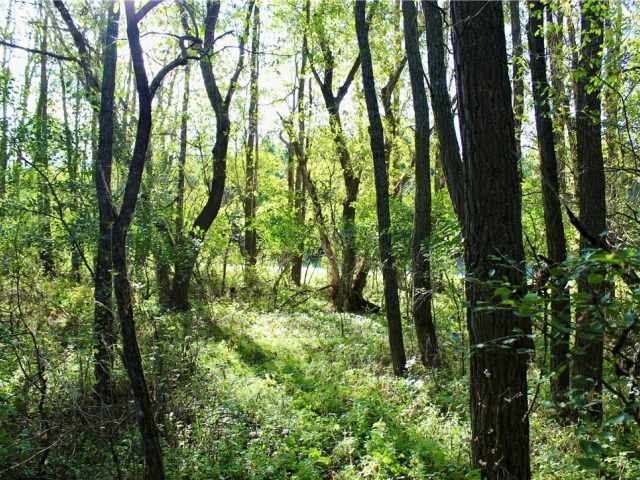 Eau Claire Land Real Estate