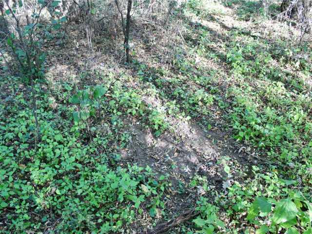 Eau Claire Land Real Estate