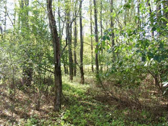 Eau Claire Land Real Estate