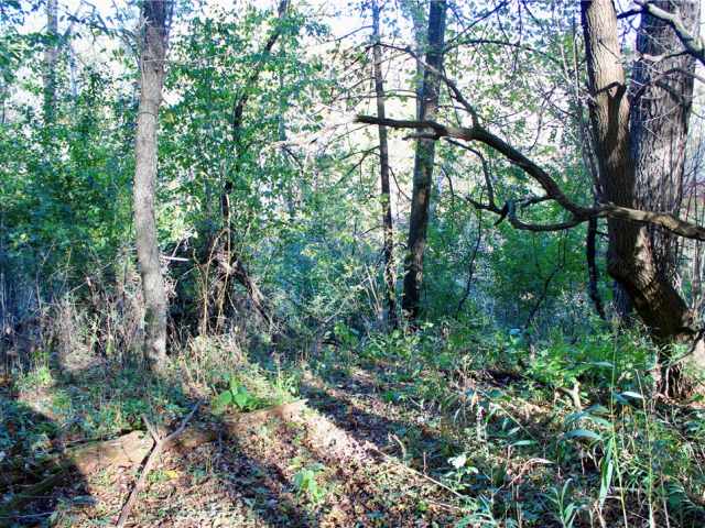 Eau Claire Land Real Estate