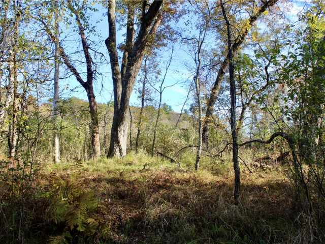 Eau Claire Land Real Estate