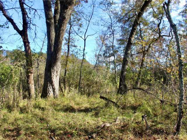 Eau Claire Land Real Estate