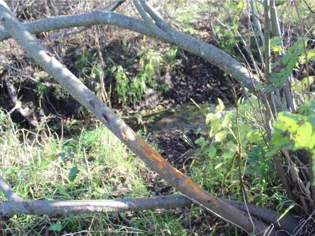 Eau Claire Land Real Estate