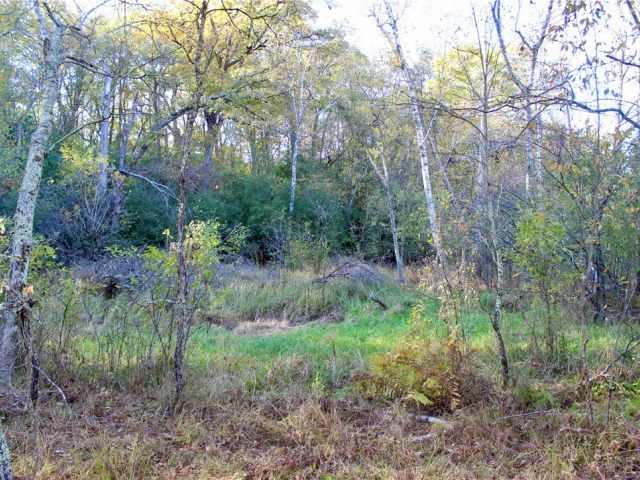 Eau Claire Land Real Estate