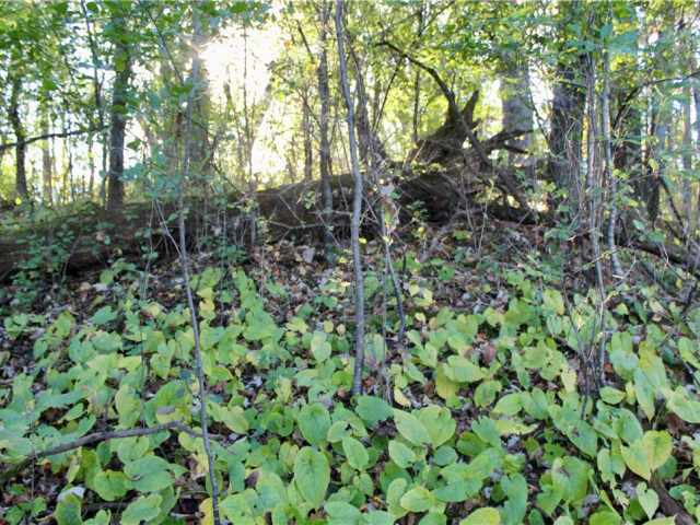 Eau Claire Land Real Estate