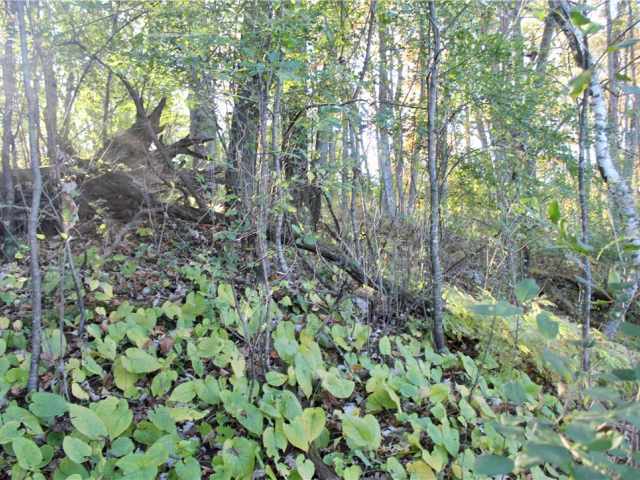 Eau Claire Land Real Estate