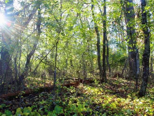 Eau Claire Land Real Estate