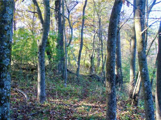 Eau Claire Land Real Estate