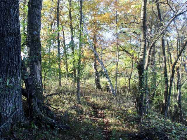 Eau Claire Land Real Estate